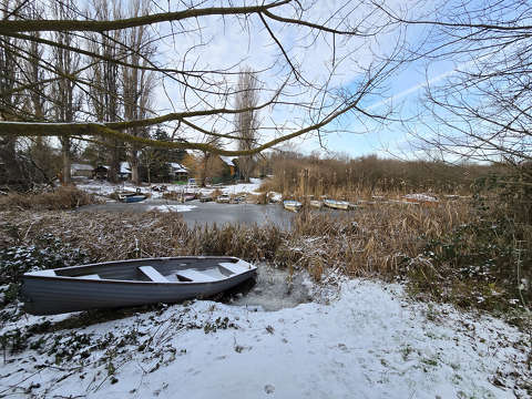 Balatonfűzfő, csendélet