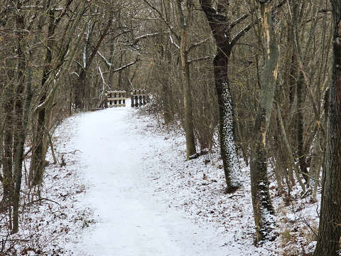 Balatonfűzfő, ösvény, híd