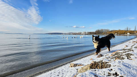 Balatonkenese és Maci