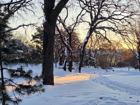 Felkelő nap fénye Balatonfűzfőn