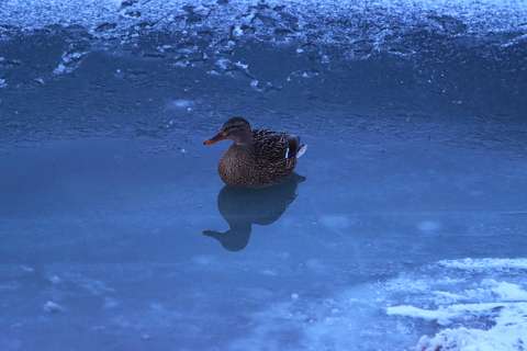 jeges-fagyos pillanat.