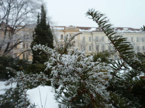 Szekszárd, Béla király tér