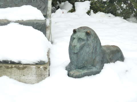 Hóoroszlán - Szekszárd, Béla király tér