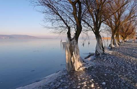 Balaton