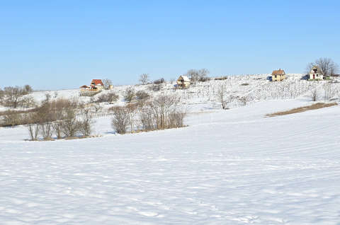 Nagydorog határában