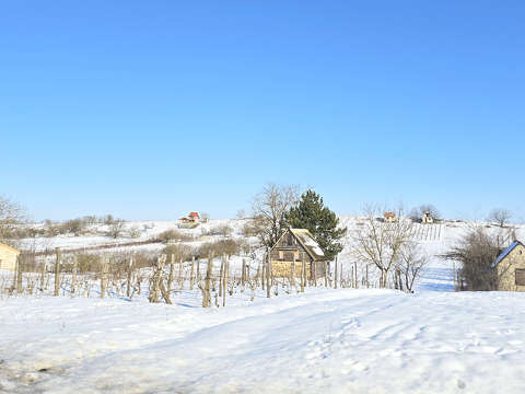 Nagydorog határában