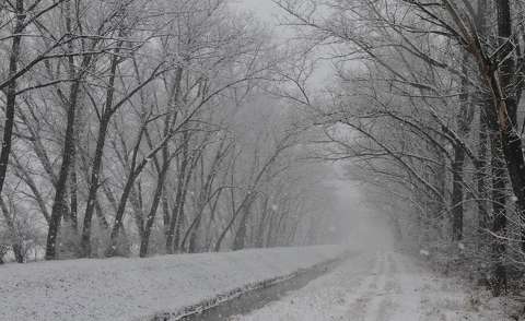 Benta patak Tárnoknál