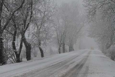 Tárnoki út hóesésben