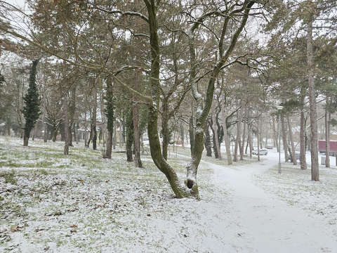 Balatonfűzfő, februári havazás