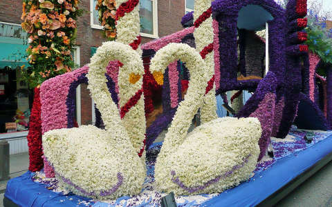 Flowershow Haarlem Nederland