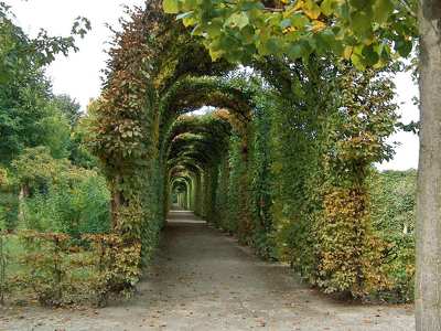 Schönbrunn-i kastély, Bécs, Ausztria