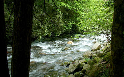 Great Smoky Mountains Nemzeti Park