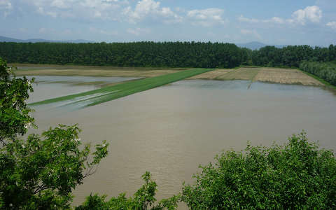 A Tisza áradása Szabolcsban