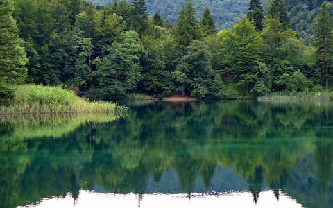 erdő horvátország plitvicei tavak tó