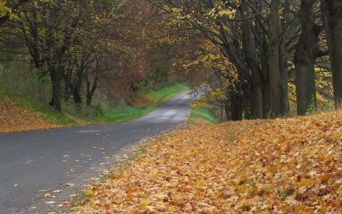 Ősz