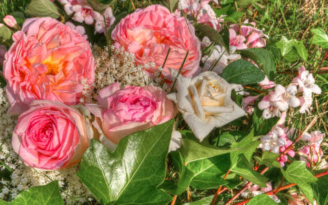 borostyán rózsa virágcsokor és dekoráció
