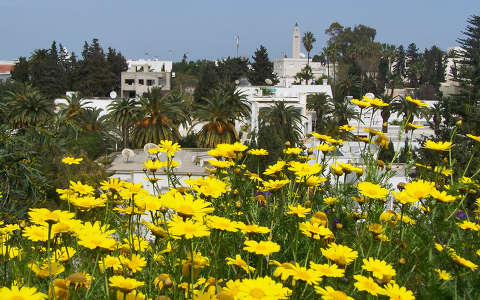 Tunézia, Karthago