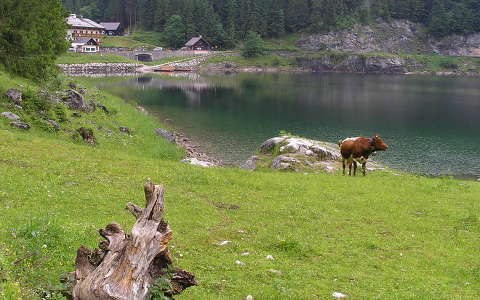 Ausztria,Gosau tó