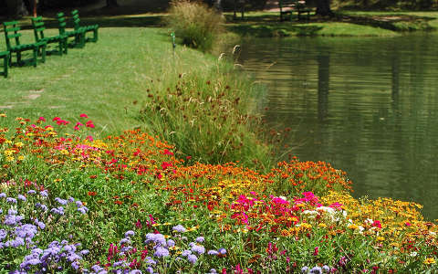 kertek és parkok nyári virág pad tó