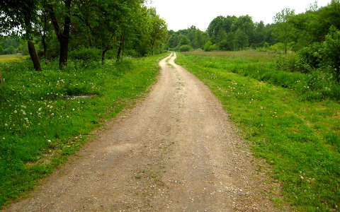 Magyarország, Zala megye, Gáborjánháza, út
