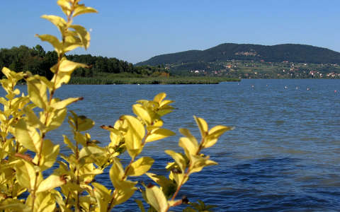 balaton magyarország tó