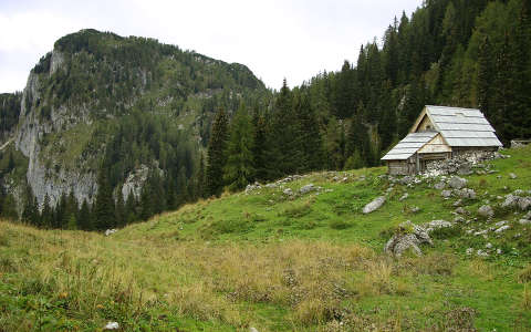 Alpok, Szlovénia