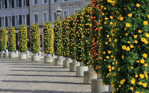 Luzern utcai virágok Svájc