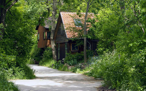 erdő faház ház út