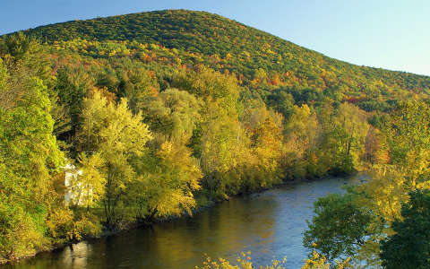 erdő folyó hegy ősz