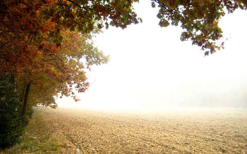 ősz, köd, szántóföld