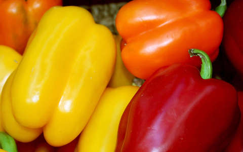 paprika termény zöldség