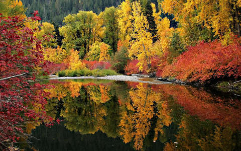 erdő tó tükröződés ősz