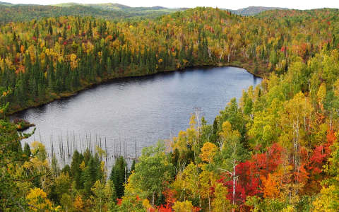 erdő tó ősz