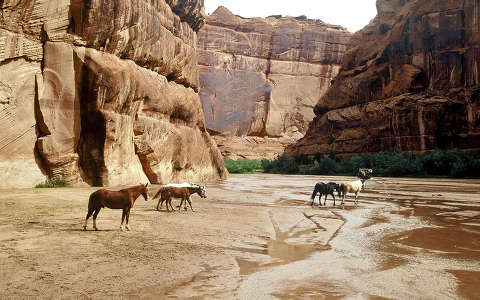 kanyon kövek és sziklák lovak