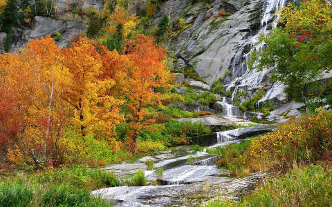 címlapfotó fa vízesés ősz