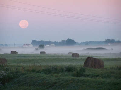 köd magyarország mező napfelkelte