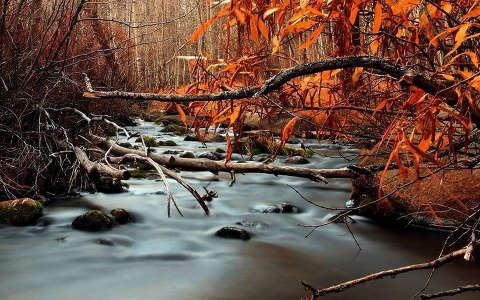 címlapfotó patak ősz