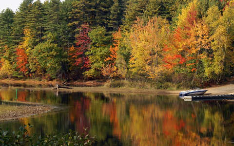 csónak címlapfotó erdő tó