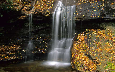 kövek és sziklák levél vízesés ősz