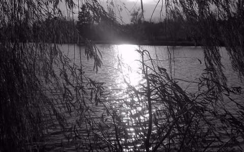 fekete-fehér fény tó