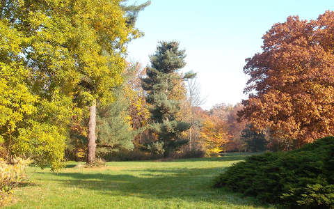 Szarvas - Arborétum  ( Pepikert ) - Őszi táj.     fotó: Kőszály