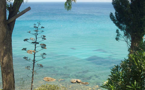 ciprus tenger