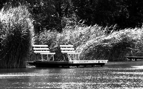 fekete-fehér nád stég és móló tó