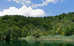 horvátország erdő plitvicei tavak világörökség
