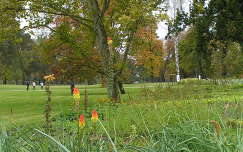 Gödöllő,Királyi kastély parkja őszi szinekben
