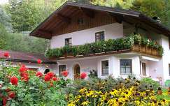 ház ausztria kúpvirág nyári virág dália