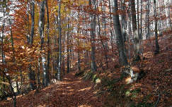Mátra ősszel, Magyarország