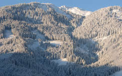 alpok tél erdő hegy