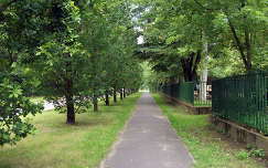 Debrecen Nagyerdő