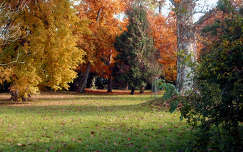 őszi szín-kavalkád